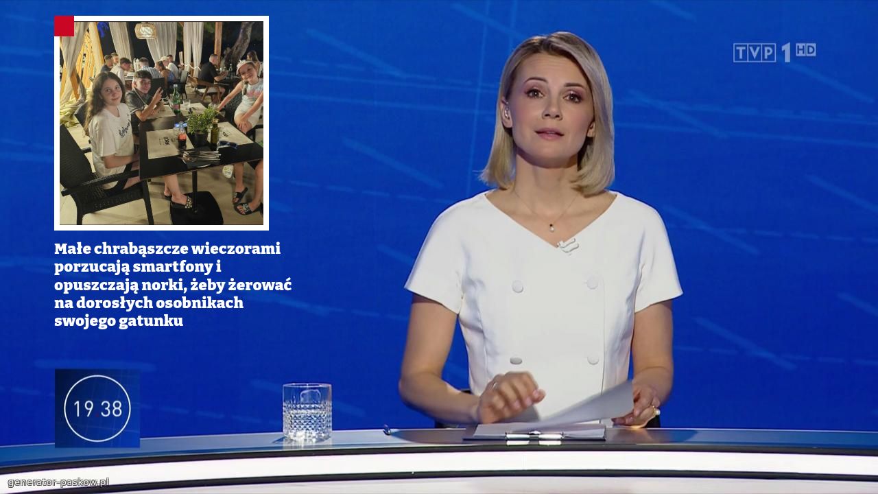 Małe chrabąszcze wieczorami porzucają smartfony i opuszczają norki, żeby żerować na dorosłych osobnikach swojego gatunku