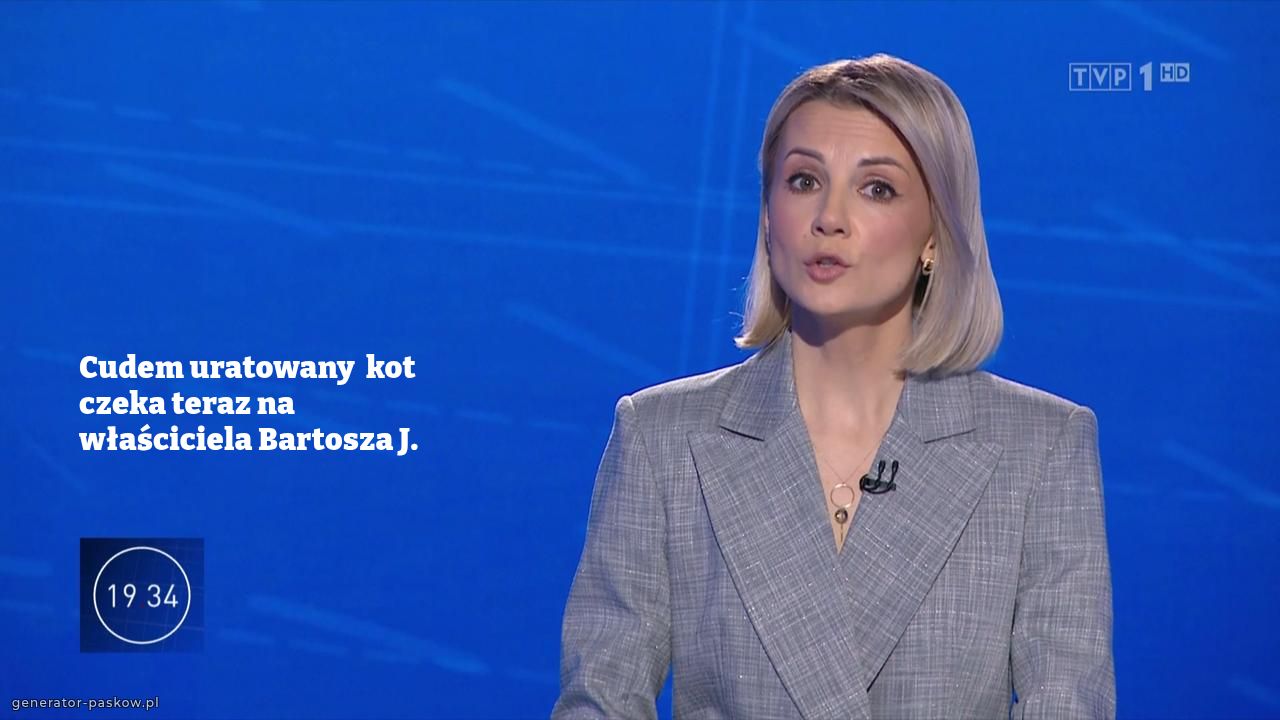 Cudem uratowany  kot  czeka teraz na właściciela Bartosza J.