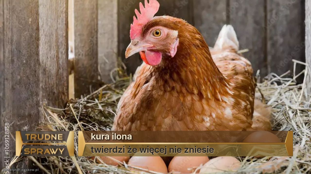 kura ilona
twierdzi że więcej nie zniesie