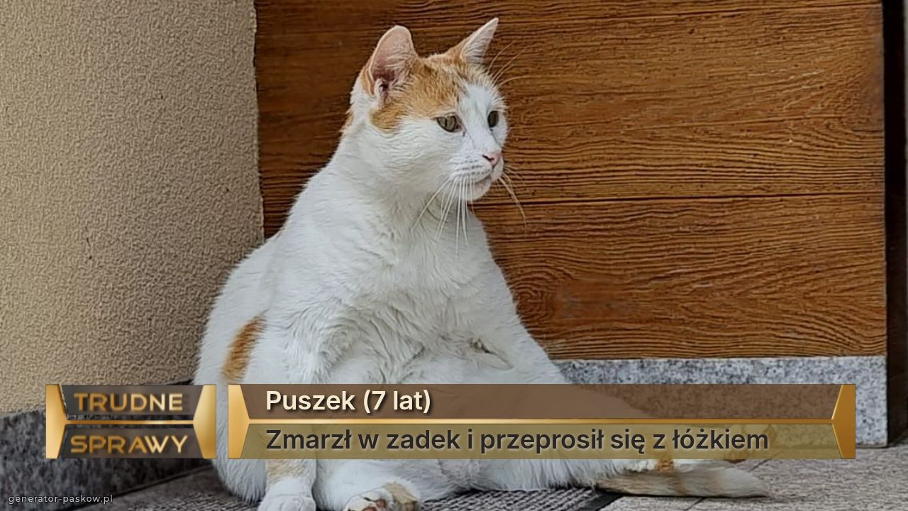 Puszek (7 lat)
Zmarzł w zadek i przeprosił się z łóżkiem 