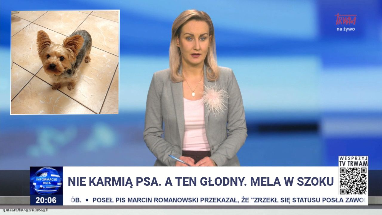 Nie karmią psa. A ten głodny. Mela w szoku