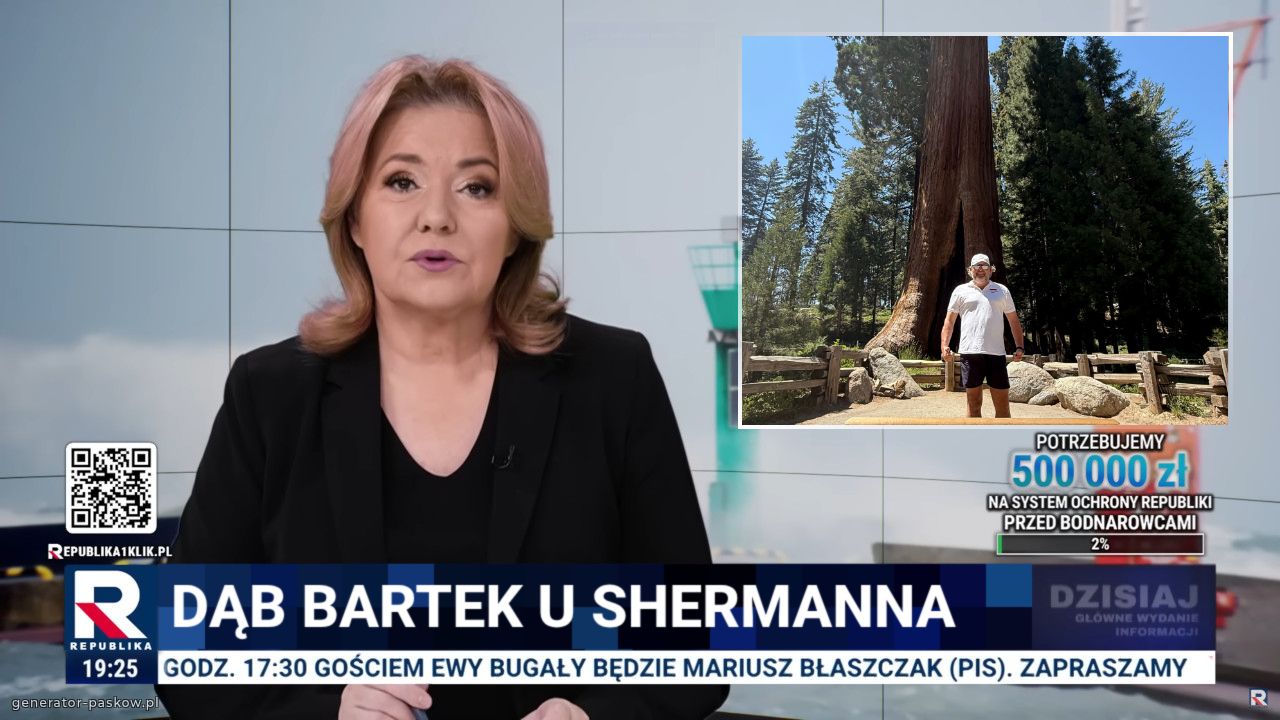 Dąb bartek u shermanna