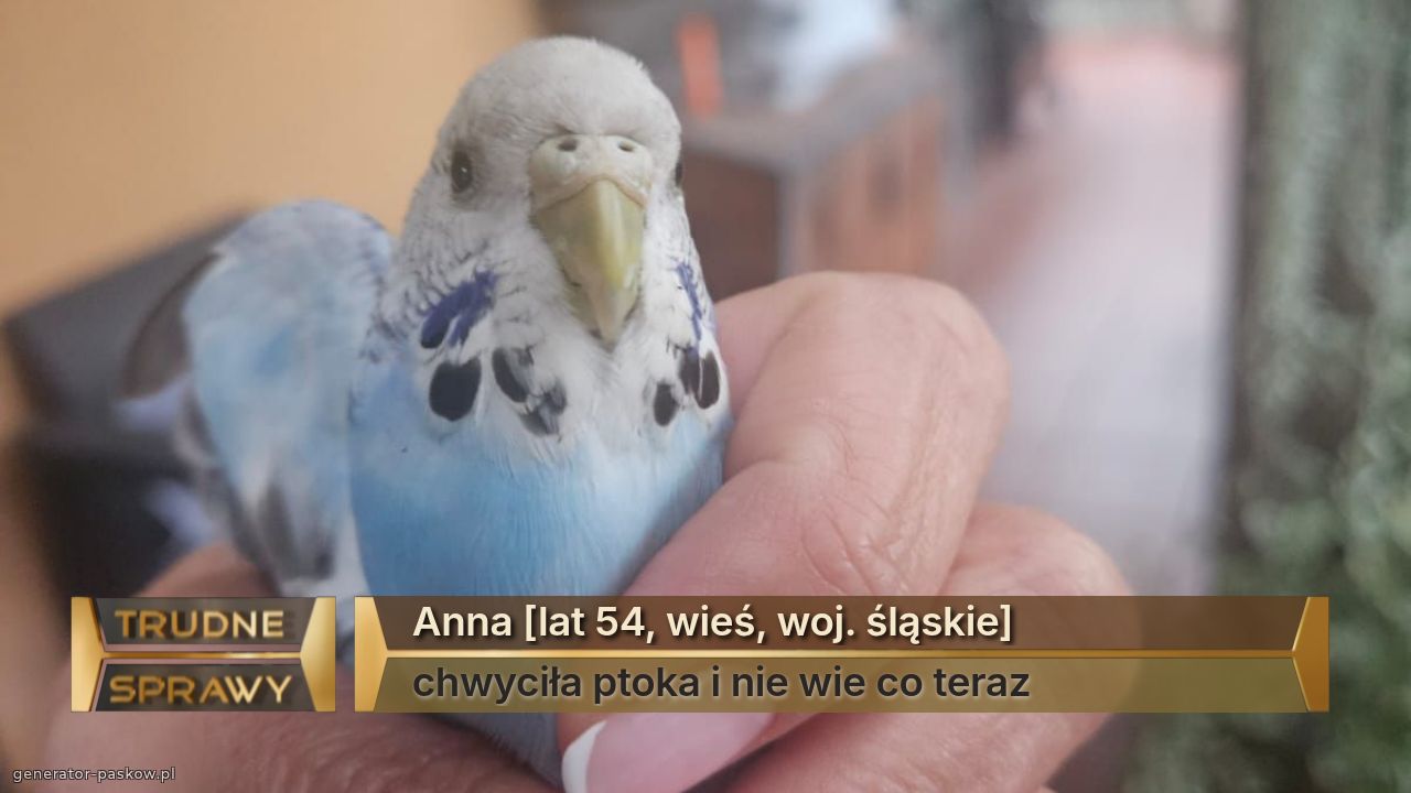 Anna [lat 54, wieś, woj. śląskie]
chwyciła ptoka i nie wie co teraz