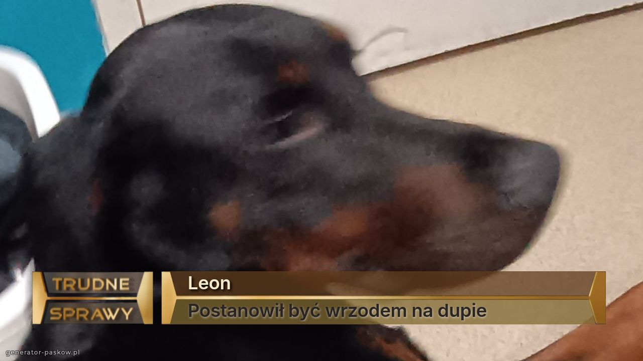 Leon
Postanowił być wrzodem na dupie