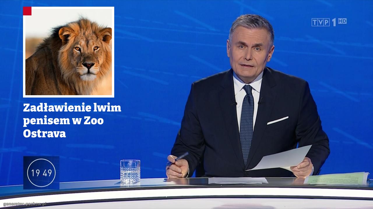 Zadławienie lwim penisem w Zoo Ostrava