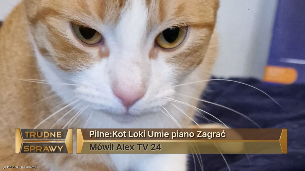 Pilne:Kot Loki Umie piano Zagrać
Mówił Alex TV 24
