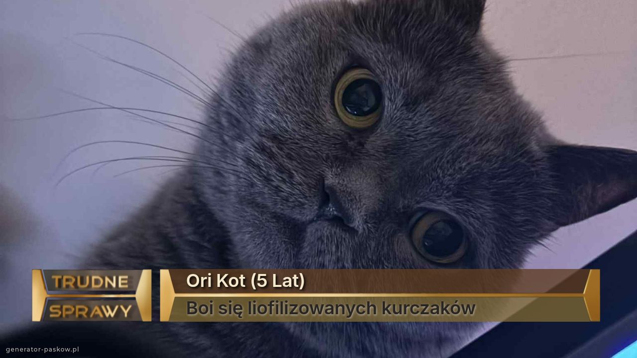 Ori Kot (5 Lat)
Boi się liofilizowanych kurczaków