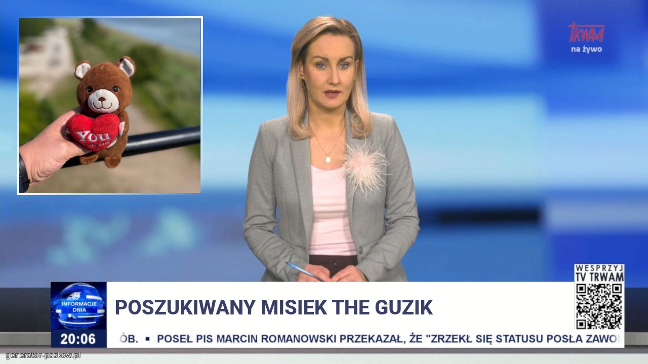 Poszukiwany Misiek The Guzik