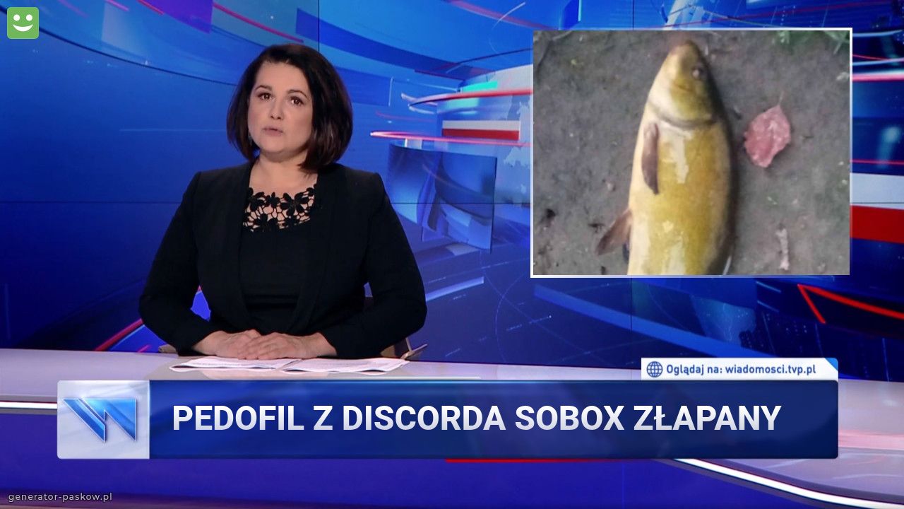 Pedofil z discorda sobox złapany 