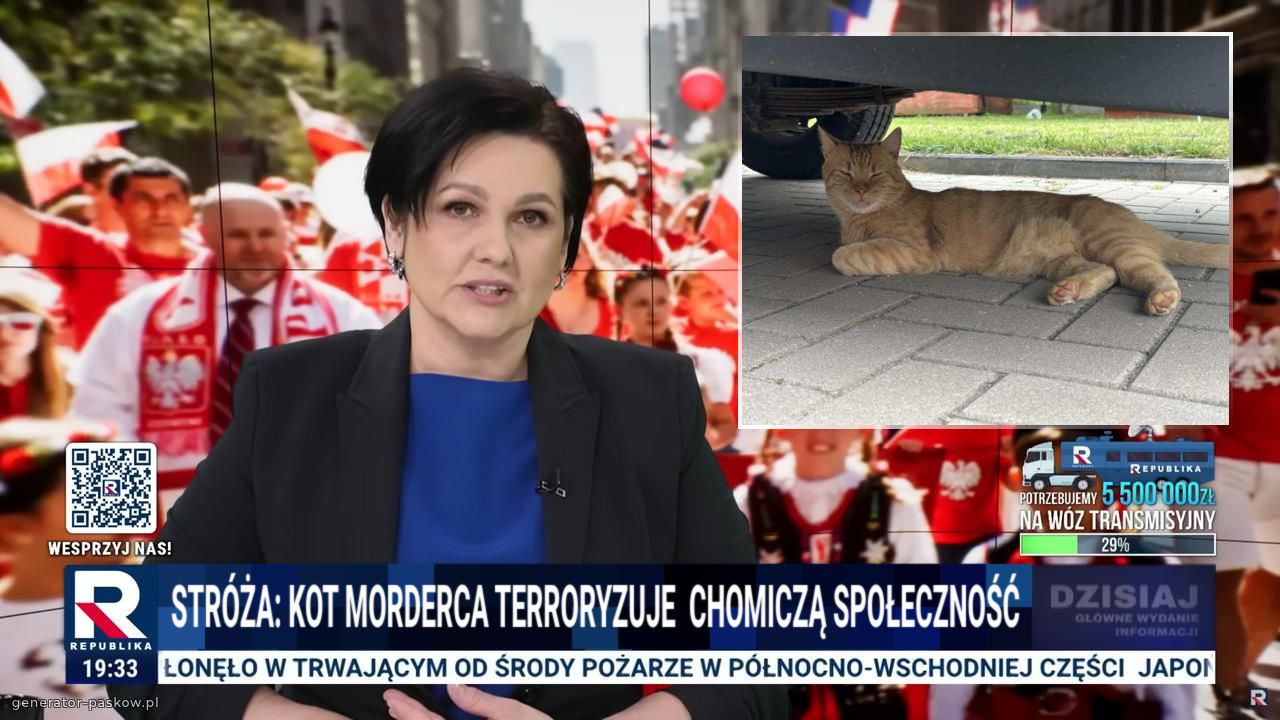 Stróża: Kot morderca terroryzuje  chomiczą społeczność