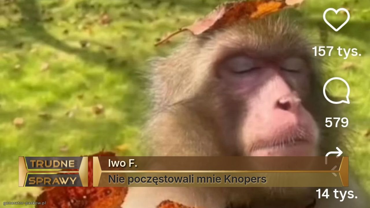 Iwo F.
Nie poczęstowali mnie Knopers