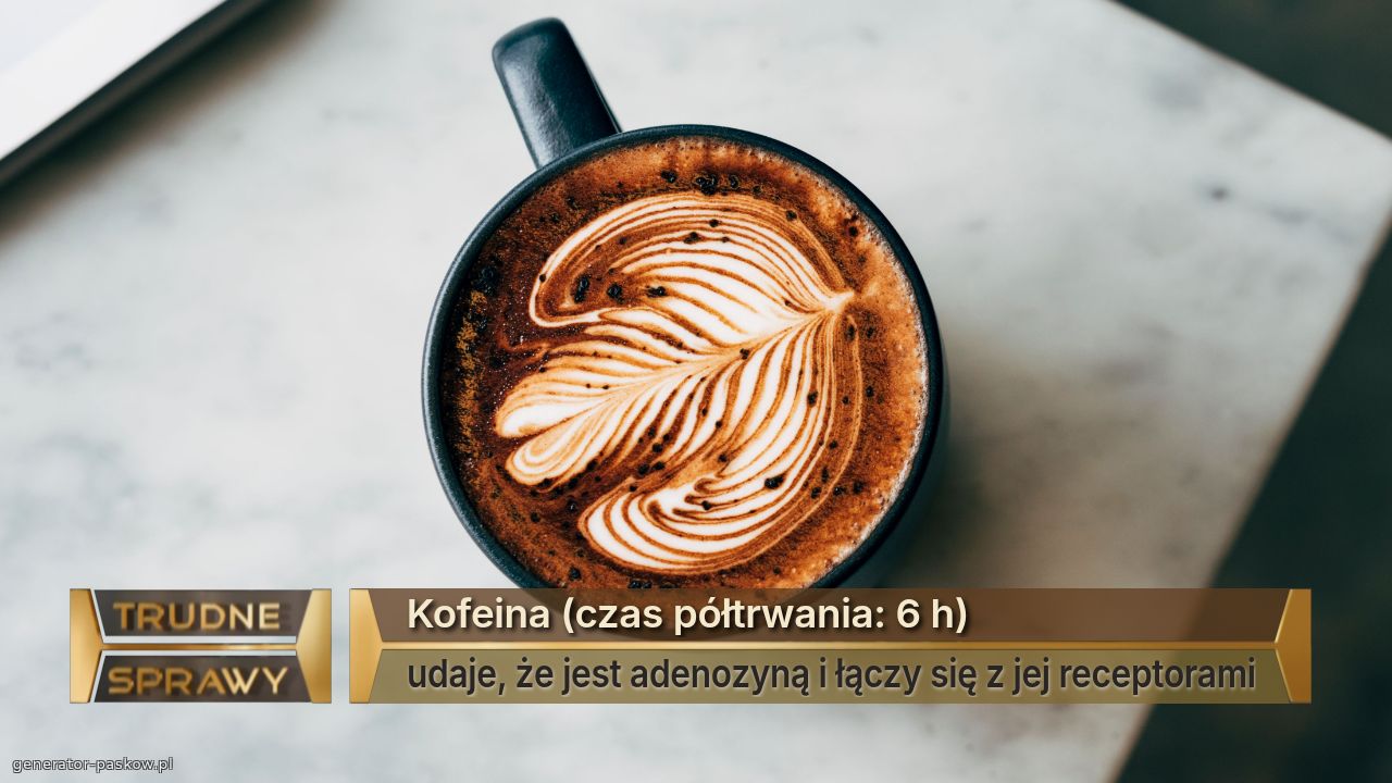 Kofeina (czas półtrwania: 6 h)
udaje, że jest adenozyną i łączy się z jej receptorami