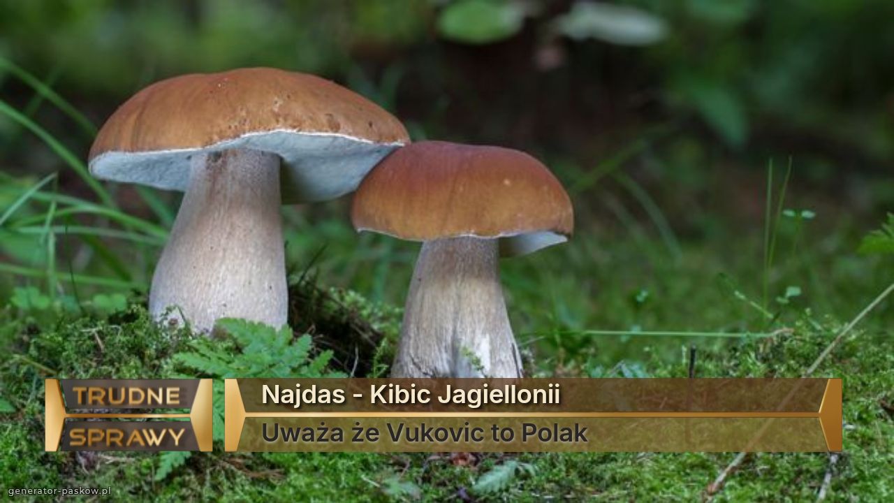 Najdas - Kibic Jagiellonii 
Uważa że Vukovic to Polak