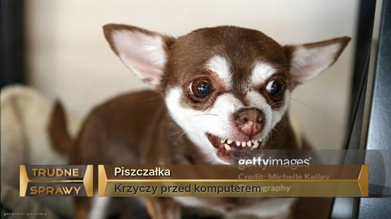 Piszczałka
Krzyczy przed komputerem