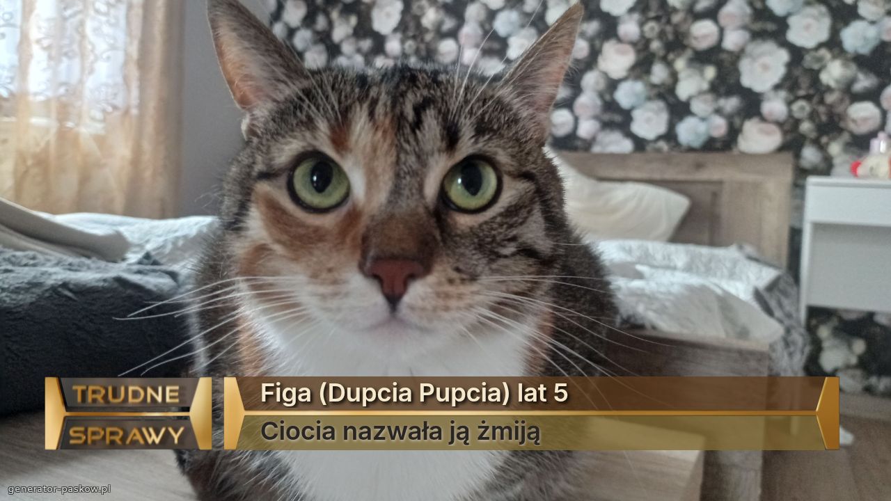 Figa (Dupcia Pupcia) lat 5
Ciocia nazwała ją żmiją