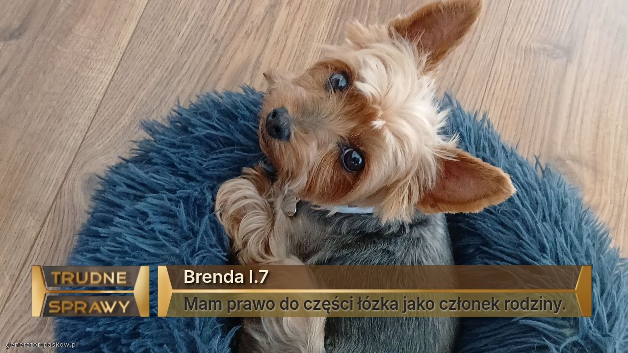 Brenda l.7
Mam prawo do części łózka jako członek rodziny.
