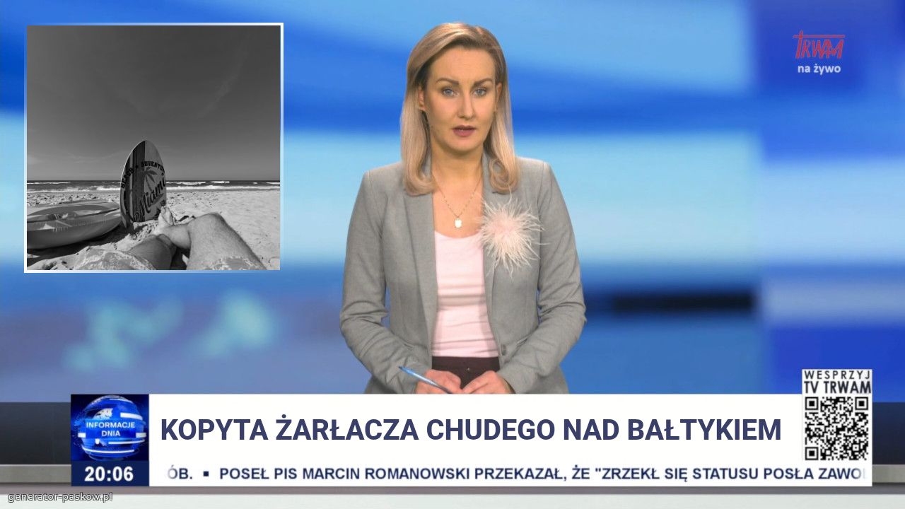 Kopyta żarłacza chudego nad bałtykiem