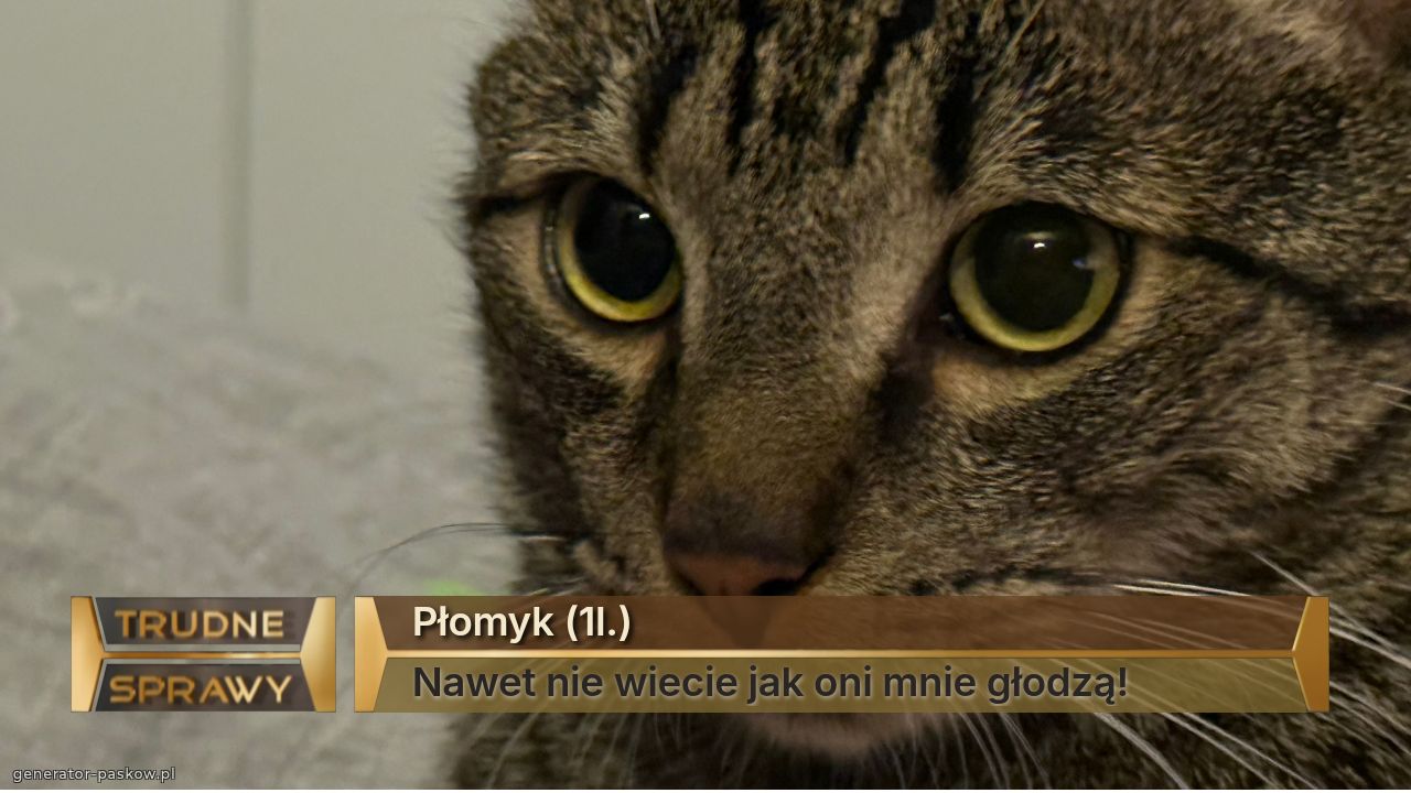 Płomyk (1l.)
Nawet nie wiecie jak oni mnie głodzą!
