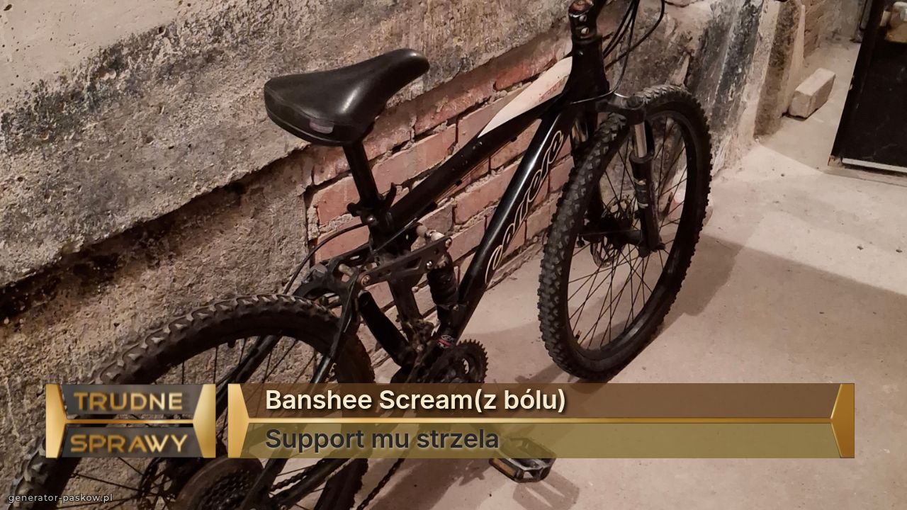 Banshee Scream(z bólu)
Support mu strzela 