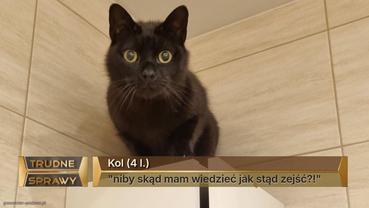 Kol (4 l.)
"niby skąd mam wiedzieć jak stąd zejść?!"