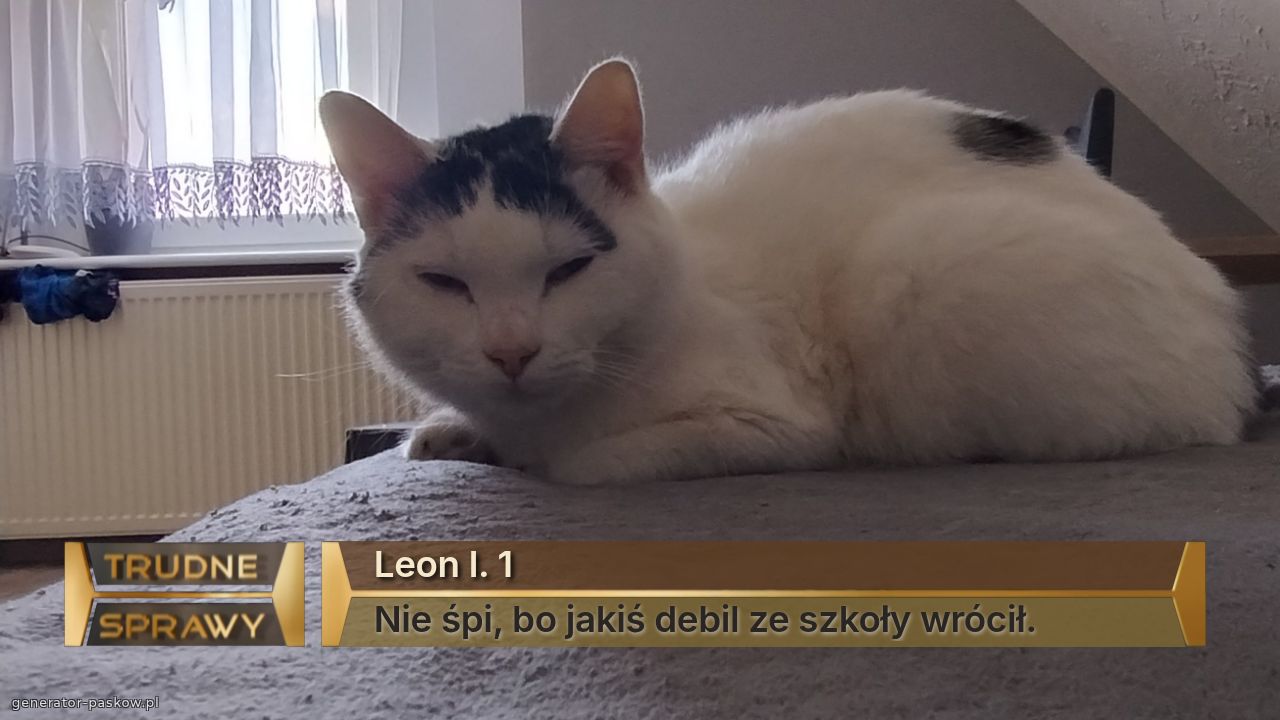 Leon l. 1
Nie śpi, bo jakiś debil ze szkoły wrócił.