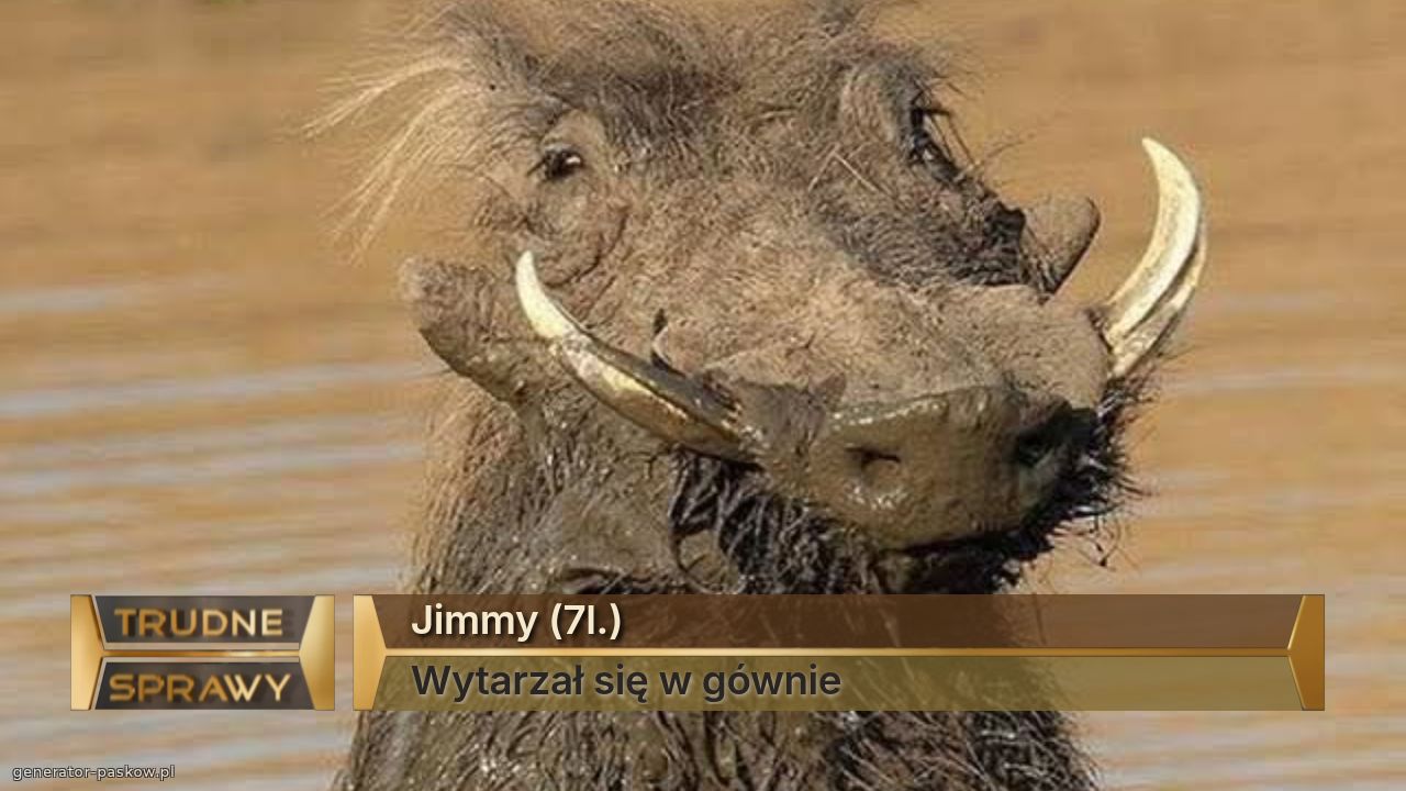 Jimmy (7l.)
Wytarzał się w gównie 
