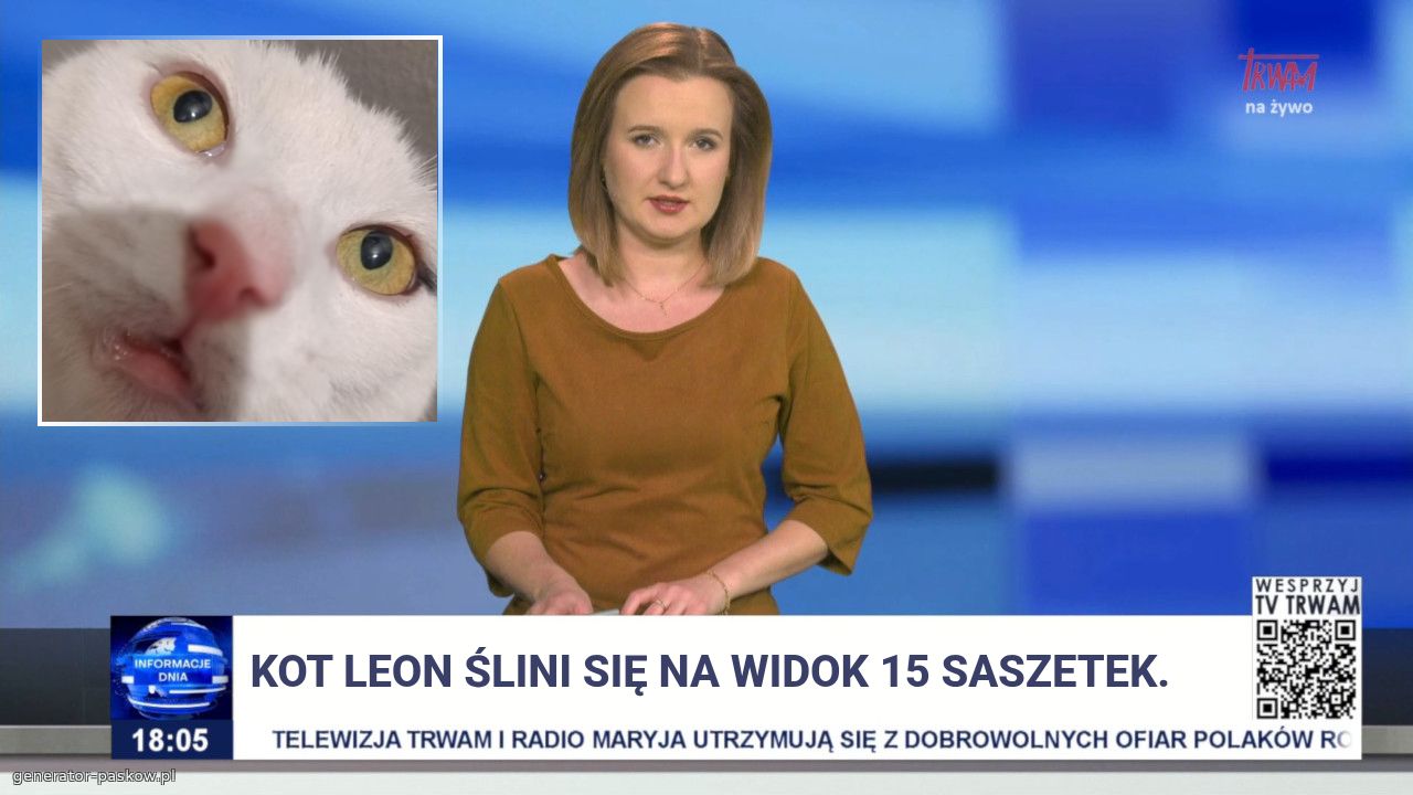Kot leon Ślini się na widok 15 saszetek.