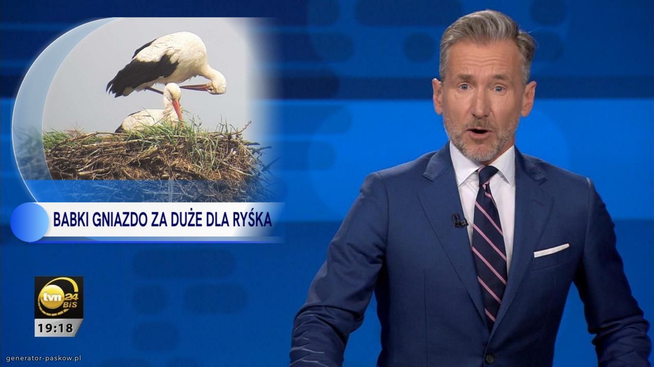 BABKI GNIAZDO ZA DUŻE DLA RYŚKA