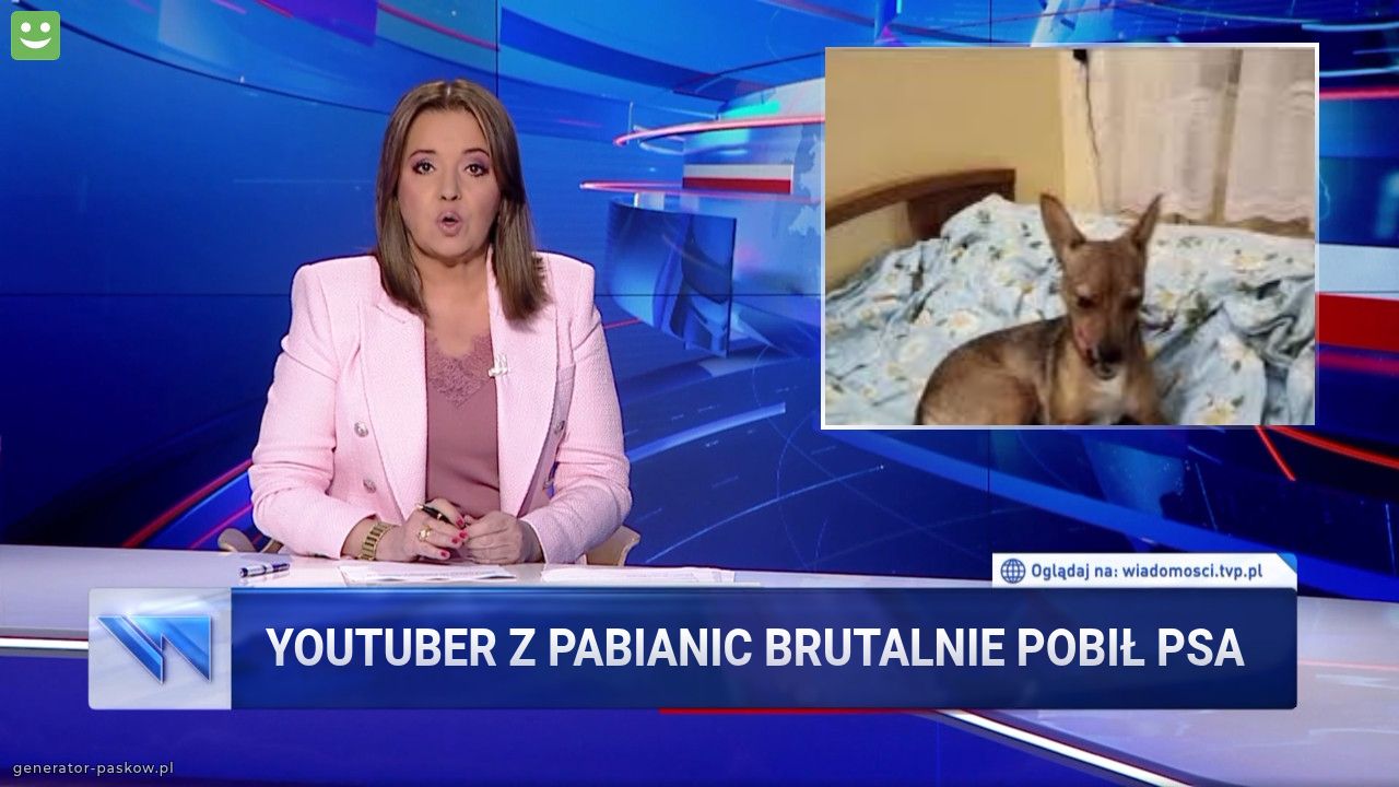 youtuber z pabianic brutalnie pobił psa