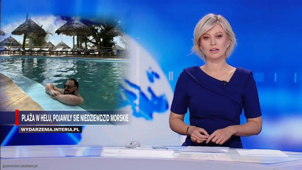 Plaża w helu, pojawily sie Niedziewdzid Morskie 