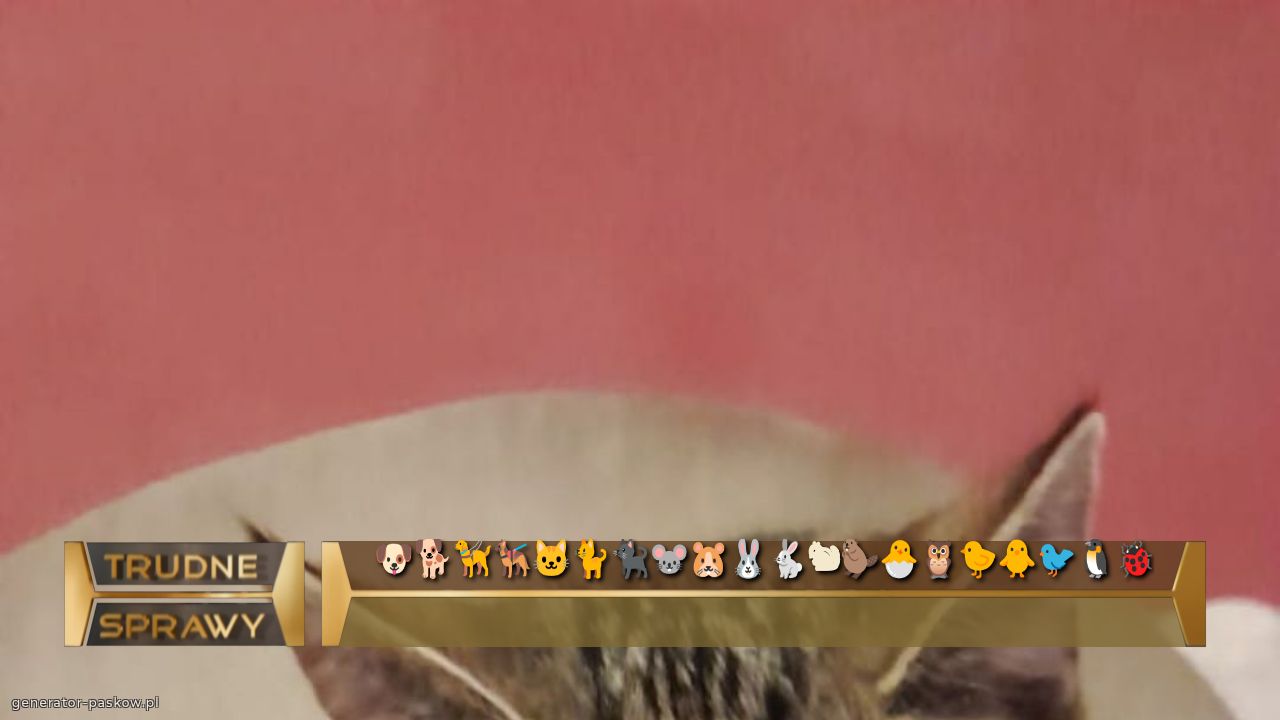 🐶🐕🦮🐕‍🦺🐱🐈🐈‍⬛🐭🐹🐰🐇🐿🦫🐣🦉🐤🐥🐦🐧🐞
