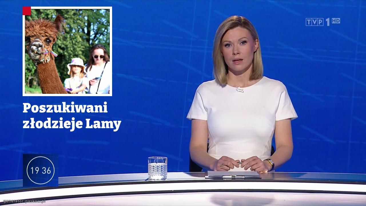 Poszukiwani 
złodzieje Lamy