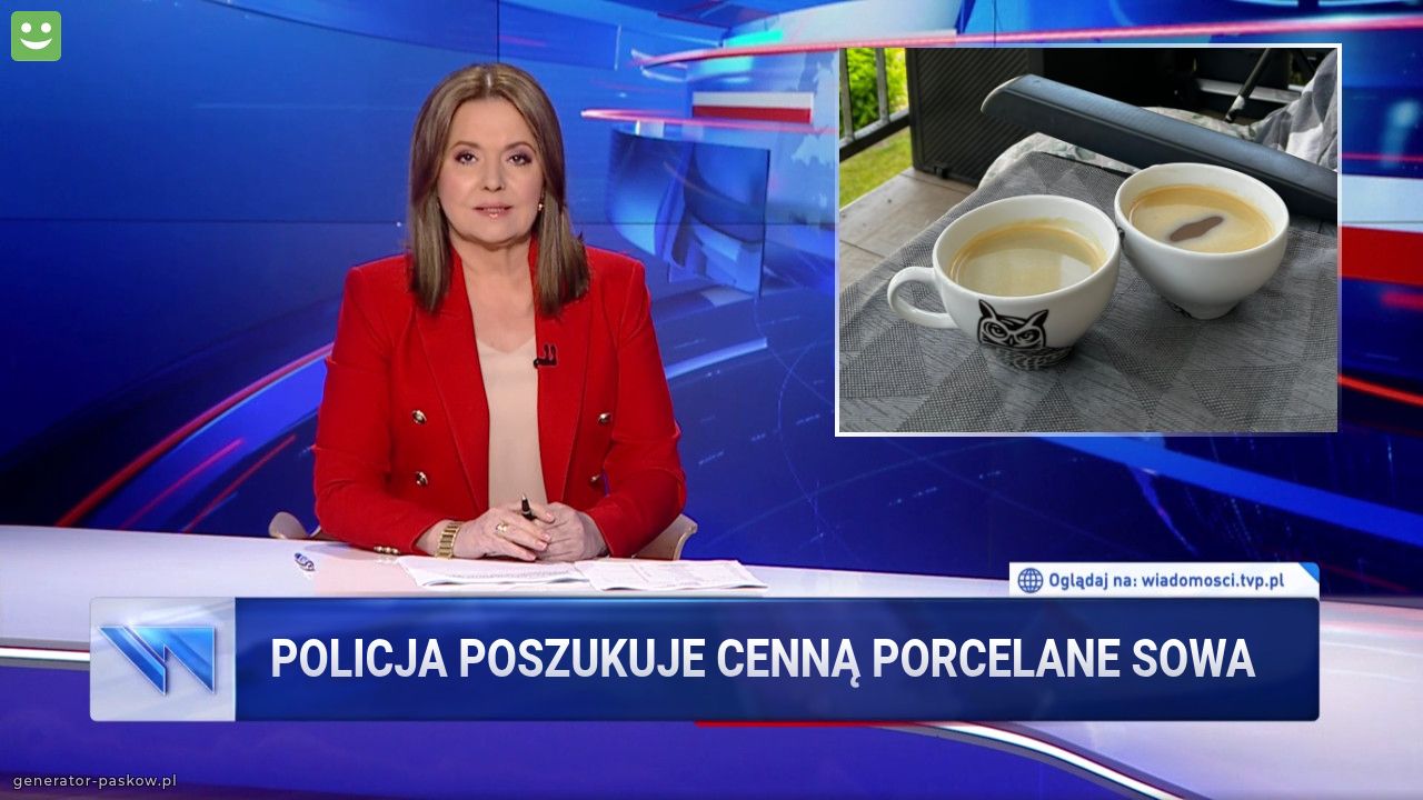 POLICJA POSZUKUJE CennĄ porcelanE SOWA 