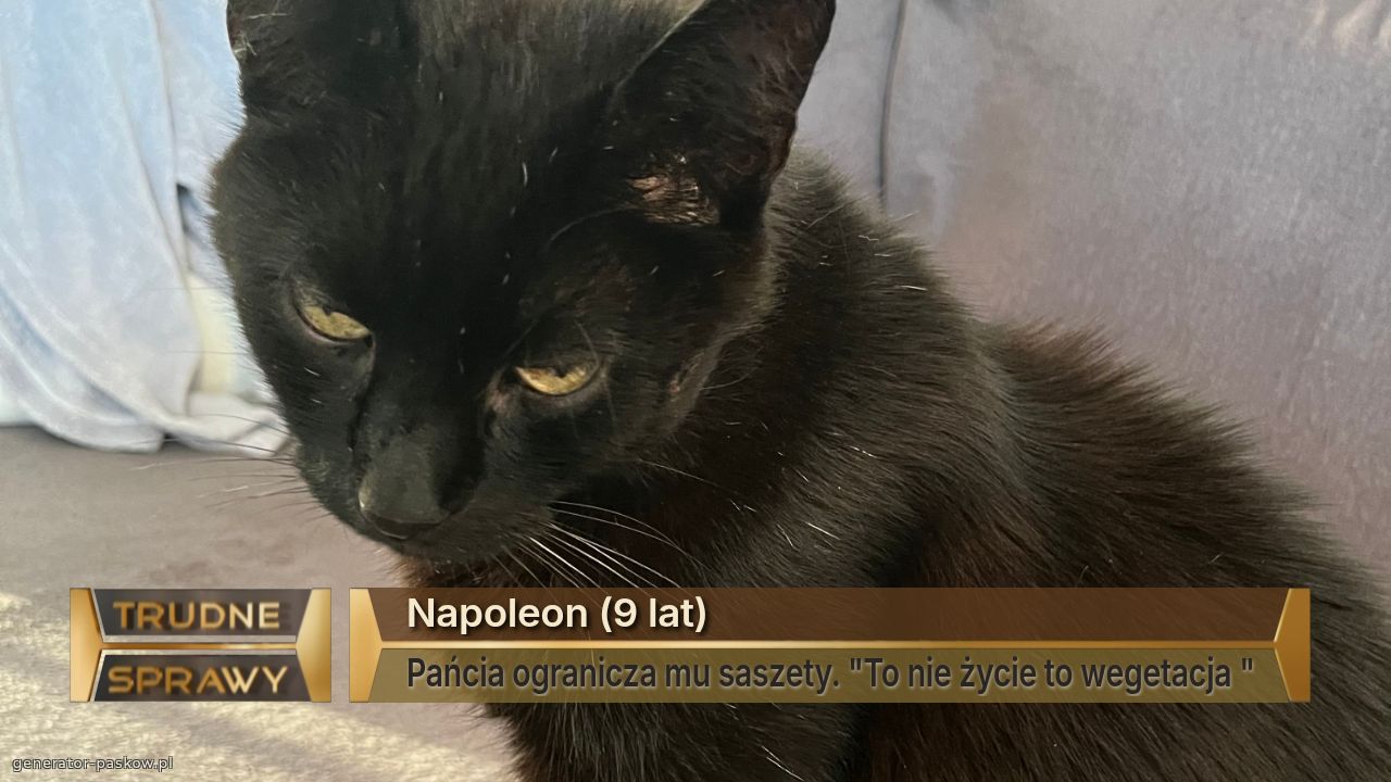 Napoleon (9 lat)
Pańcia ogranicza mu saszety. "To nie życie to wegetacja "