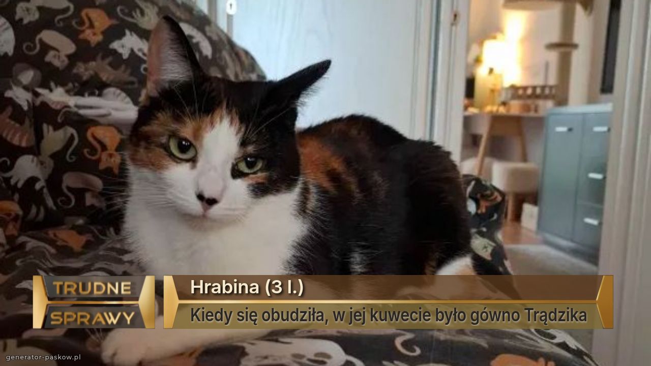 Hrabina (3 l.)
Kiedy się obudziła, w jej kuwecie było gówno Trądzika