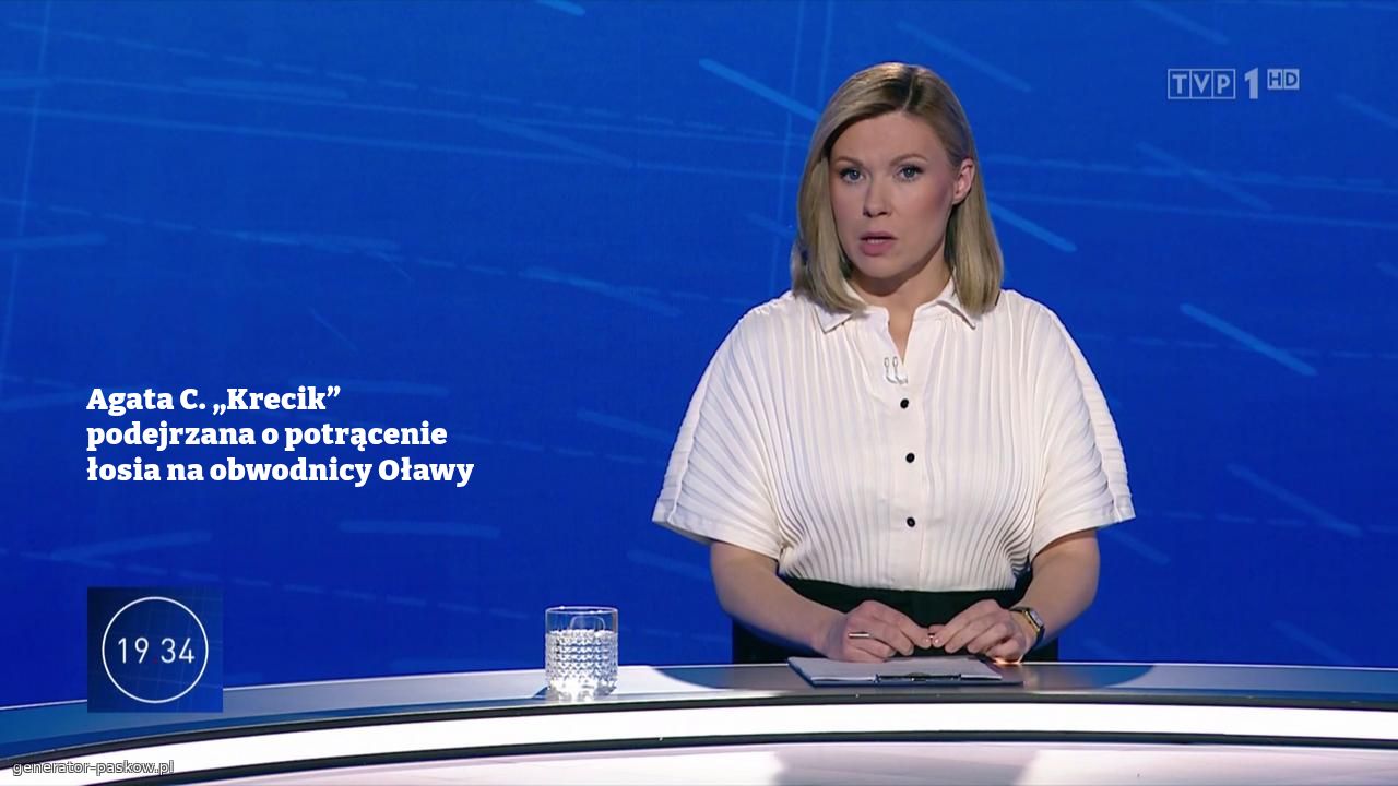 Agata C. „Krecik” podejrzana o potrącenie łosia na obwodnicy Oławy