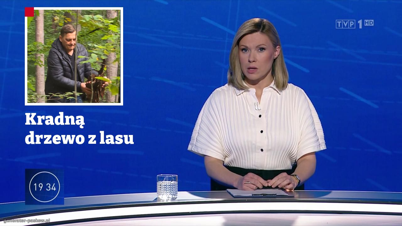 Kradną drzewo z lasu