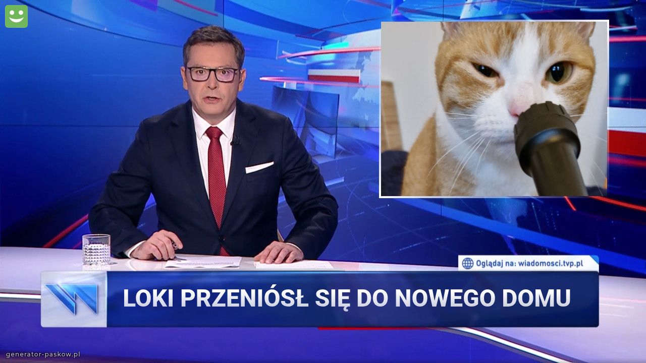 Loki Przeniósł Się Do Nowego Domu