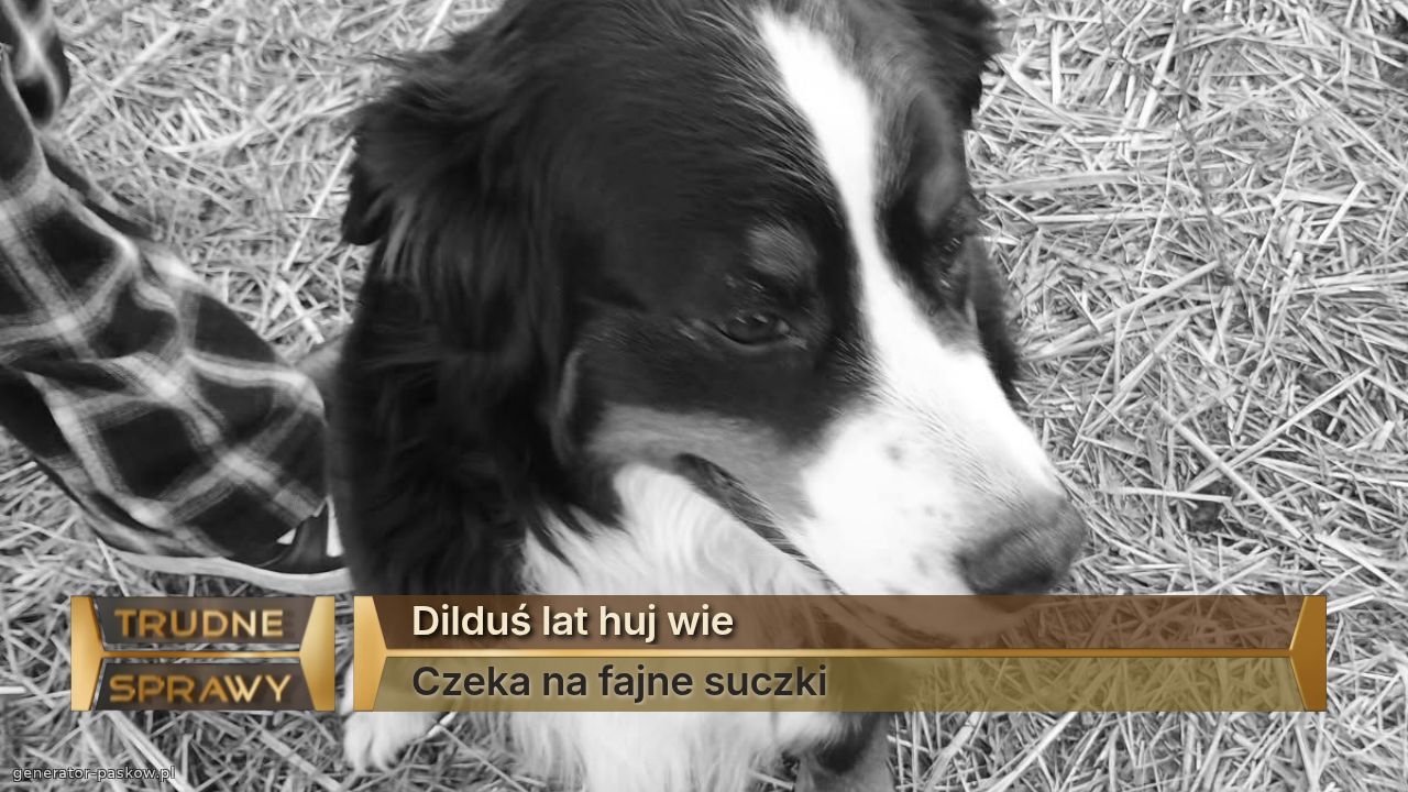 Dilduś lat huj wie 
Czeka na fajne suczki