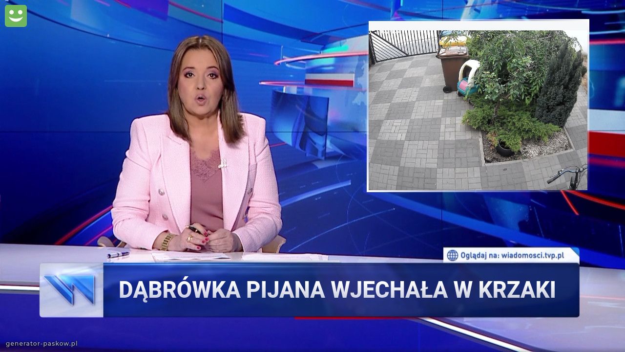 Dąbrówka pijana wjechała w krzaki