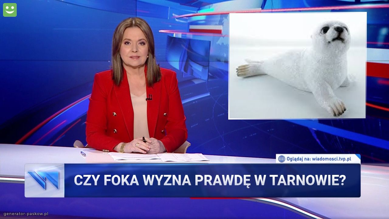 czy foka wyzna prawdę w taRnowie?