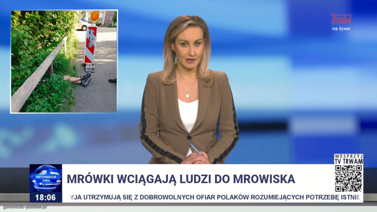 mrówki wciągają ludzi do mrowiska