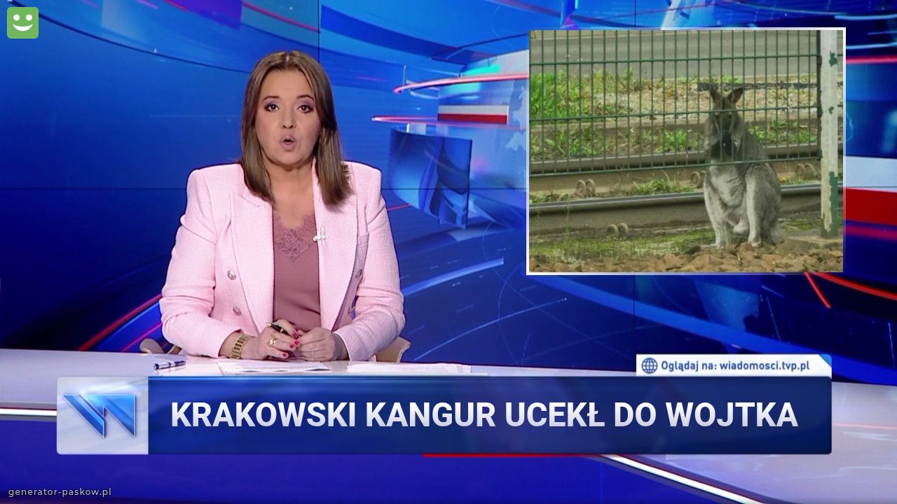 Krakowski Kangur ucekł do wojtka
