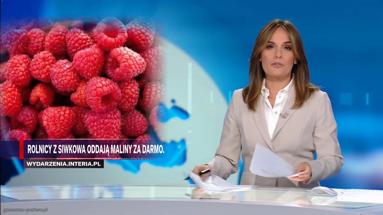 Rolnicy z Siwkowa oddają maliny za darmo.