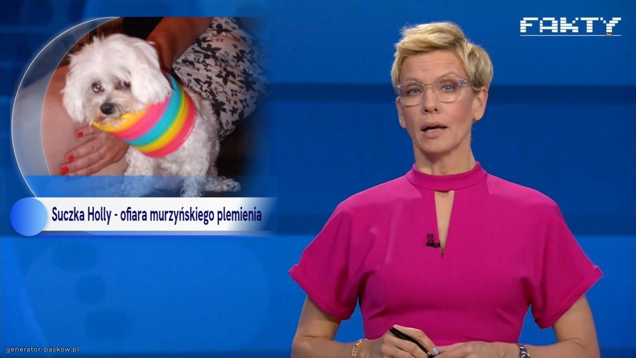 Suczka Holly - ofiara murzyńskiego plemienia 