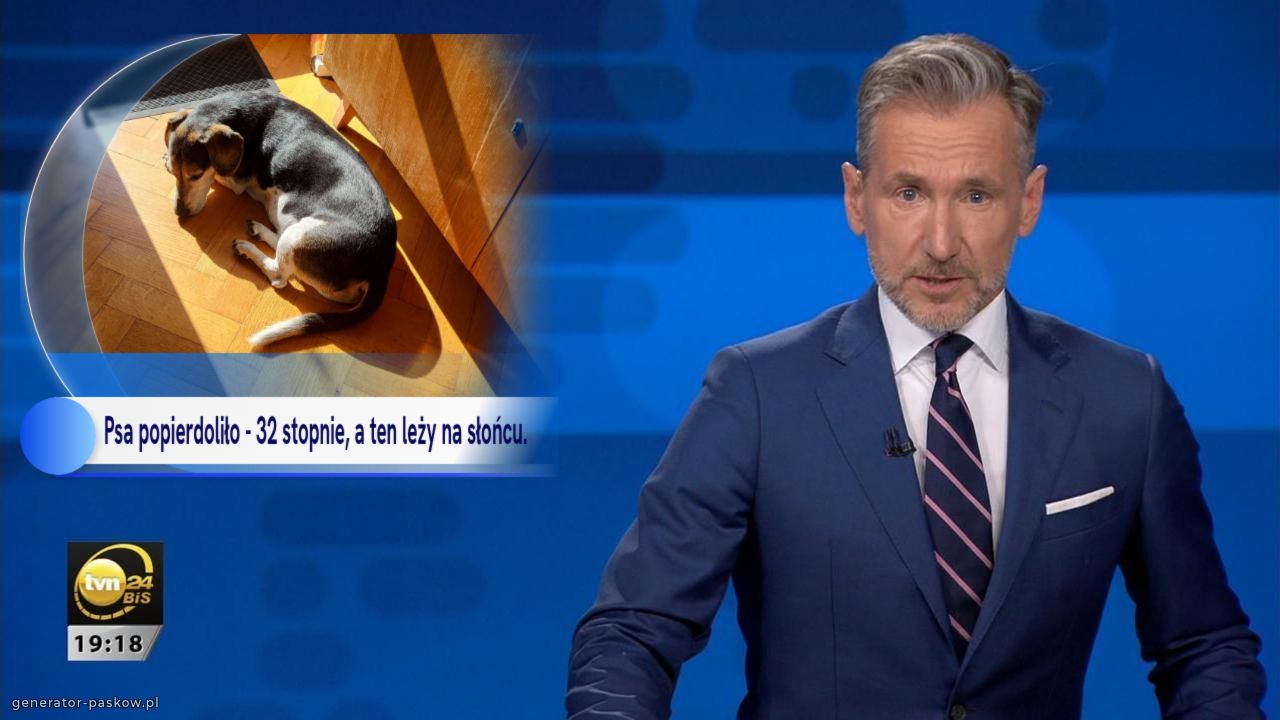 Psa popierdoliło - 32 stopnie, a ten leży na słońcu. 