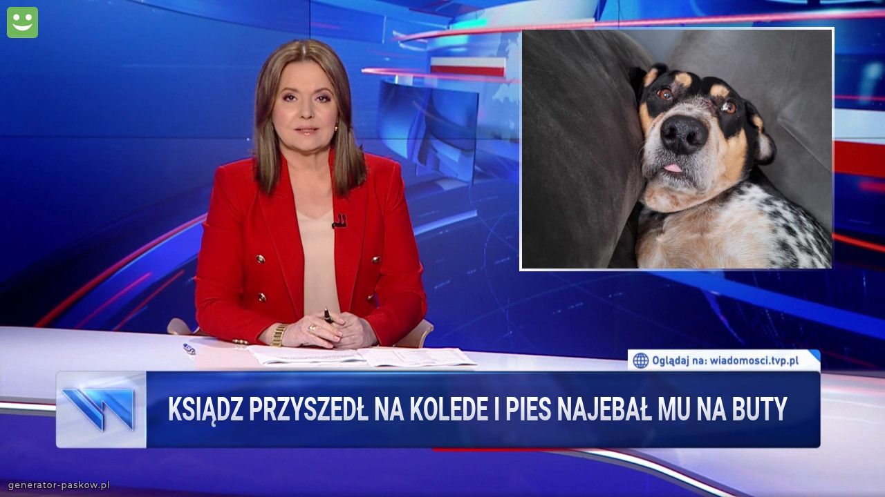 Ksiądz przyszedł na kolede i pies najebał mu na Buty