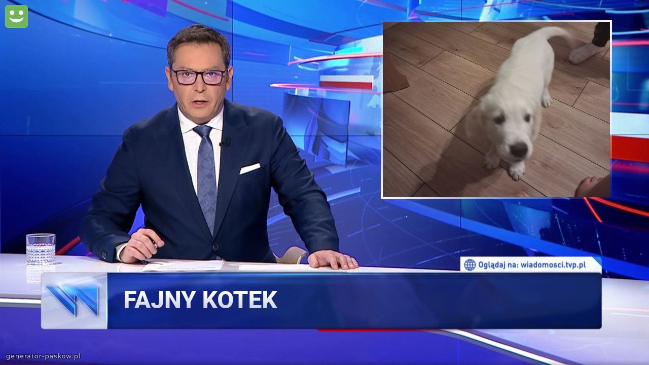 Fajny kotek