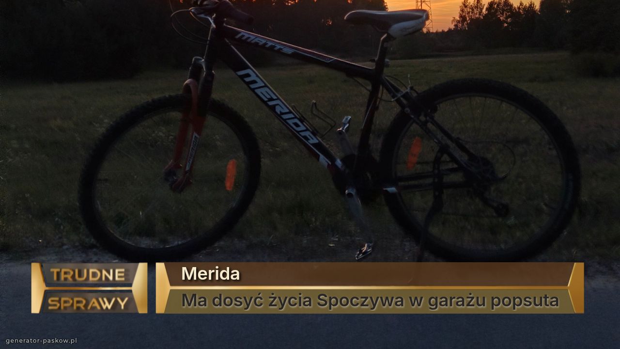 Merida
Ma dosyć życia Spoczywa w garażu popsuta