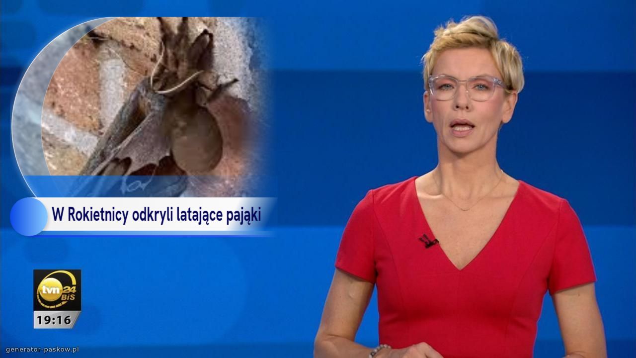 W Rokietnicy odkryli latające pająki 
